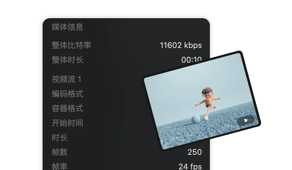 音视频媒体信息